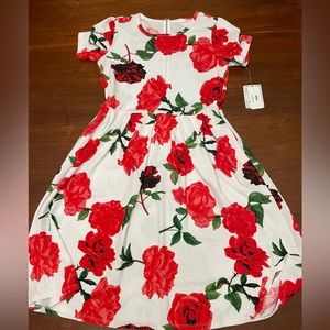 Beautiful Lularoe Amelia XL. This is a unicorn!